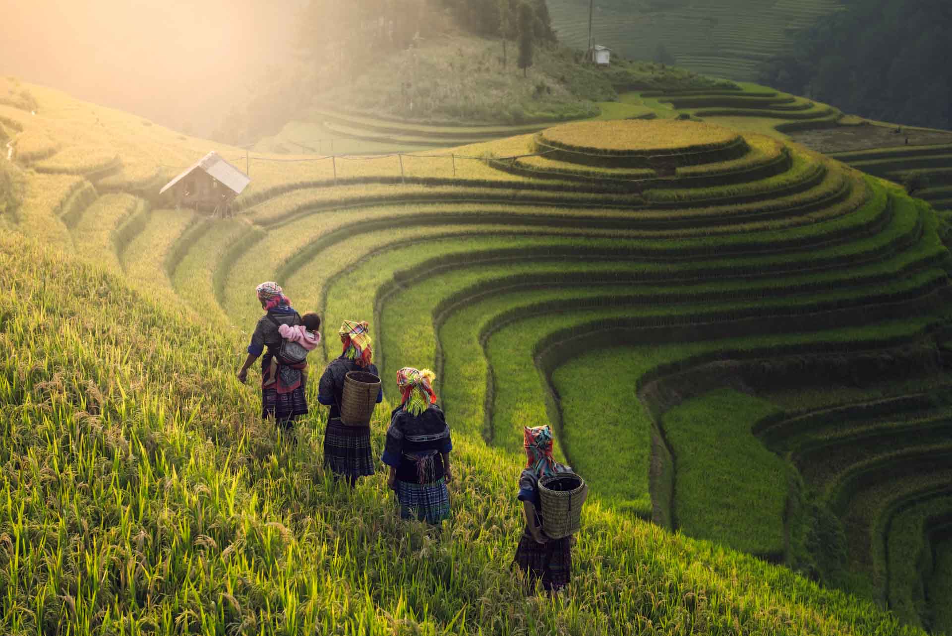 Vietnam At A Glance 14 Days