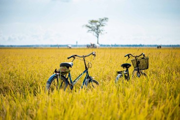Vietnam and Cambodia Tour 23 days