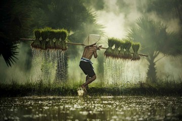 Authentic Vietnam 12 Days