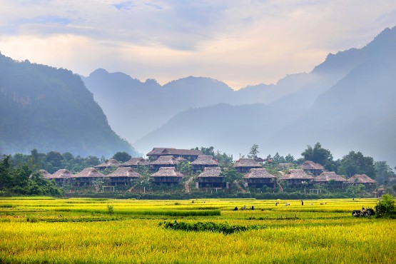 Explore Hanoi & Mai Chau Like Locals 4 Days