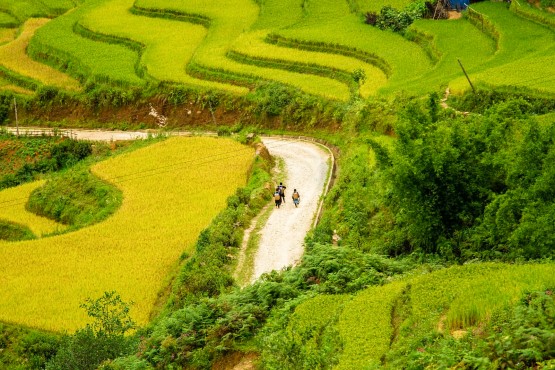 Unforgettable Journey to Hanoi & Sapa 4 Days
