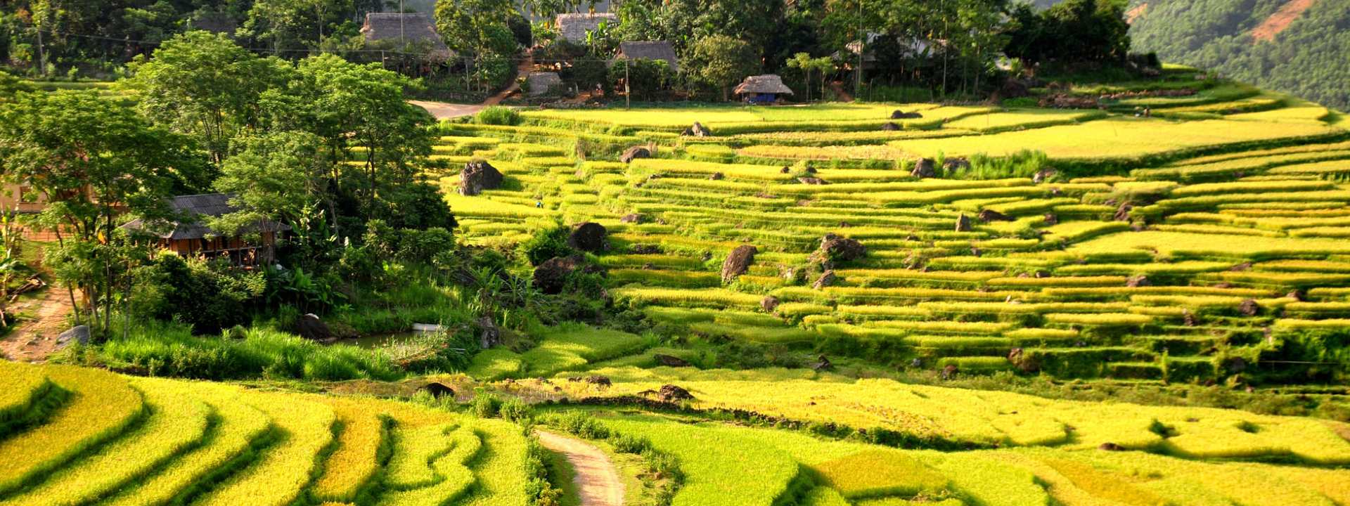 Embark on a captivating journey into the thai ethnic minority villages