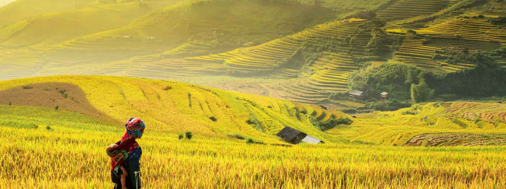 Northern Tribes & Markets 5 days