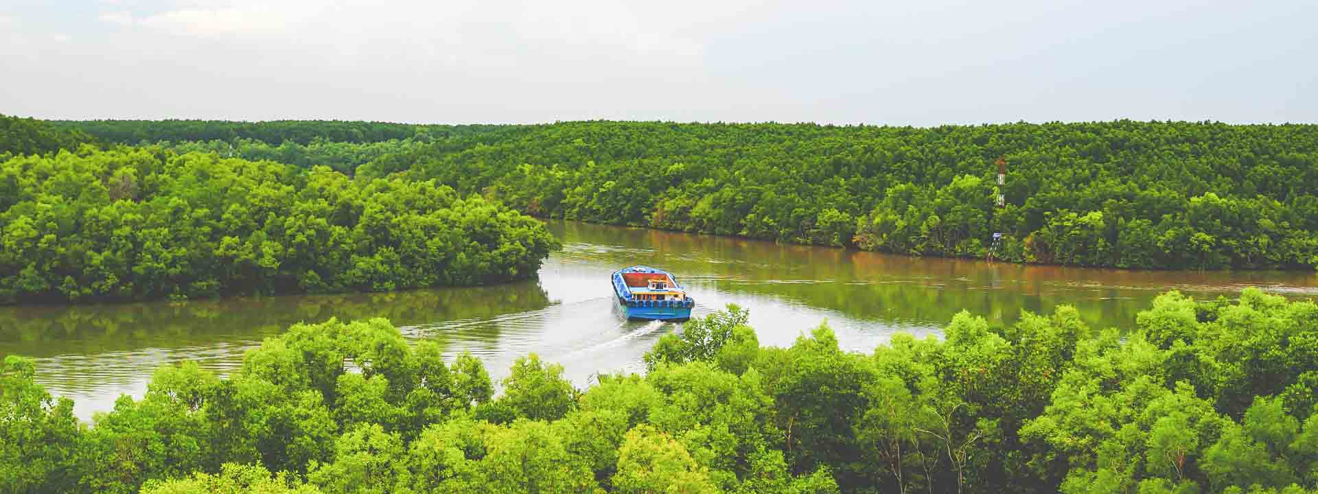 Discover the National Biosphere Reserve of Can Gio