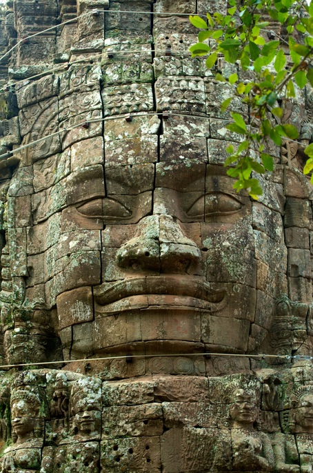 How To Cover Up A Garden Gap, Tidy A Walnut Tree And Be Water-wise