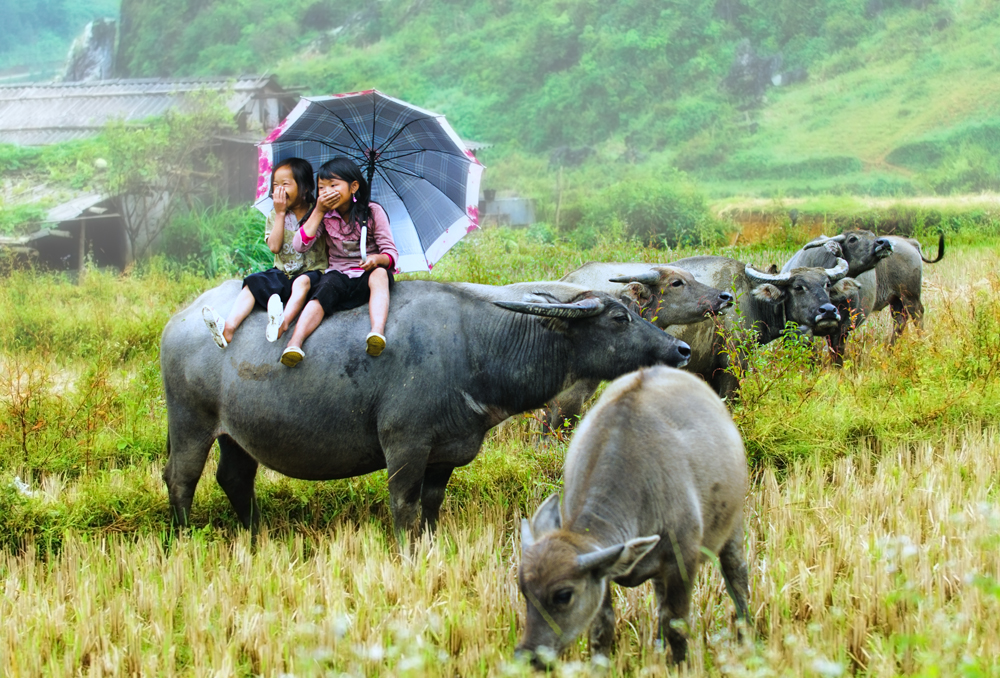 Souvenirs to buy when Holiday to Vietnam