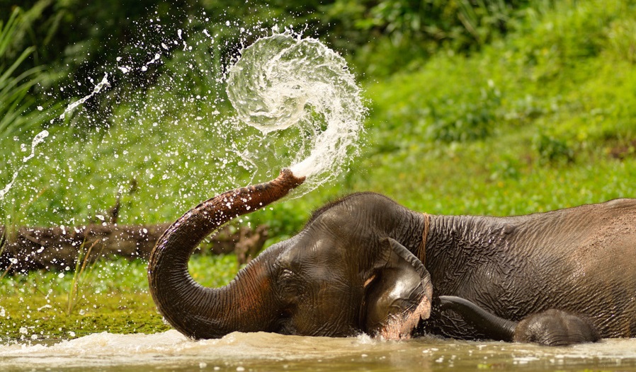 Laos Tours: A Guide to Adventure Holiday