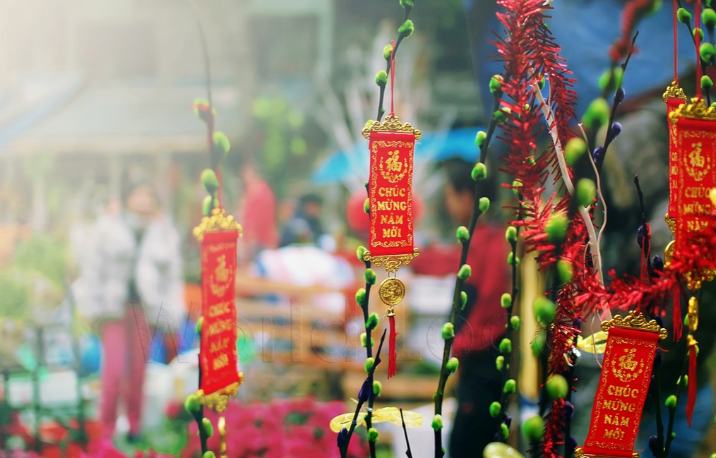 Interesting Festivals in Vietnam