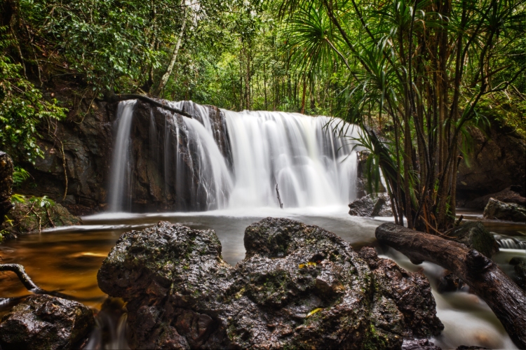 Suoi Tranh waterfall Phu Quoc | A verdant suggestion for camping