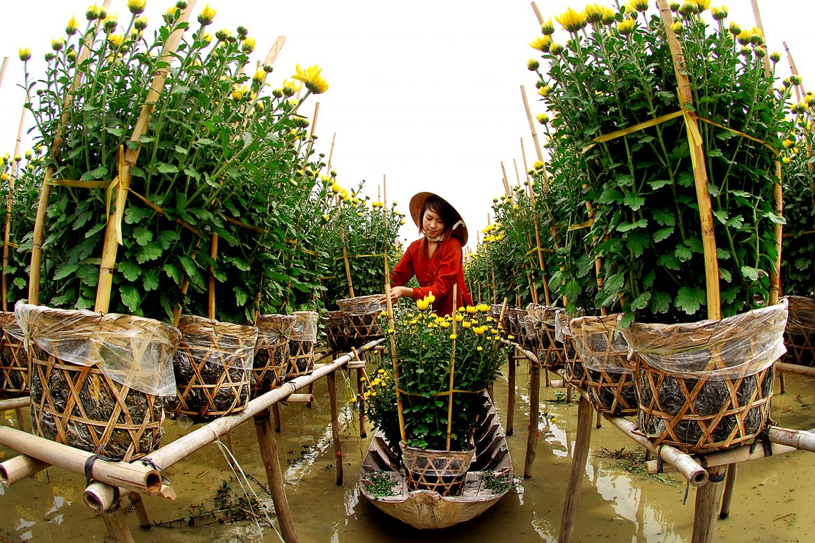 Top 7 destinations for visiting in Spring in Vietnam