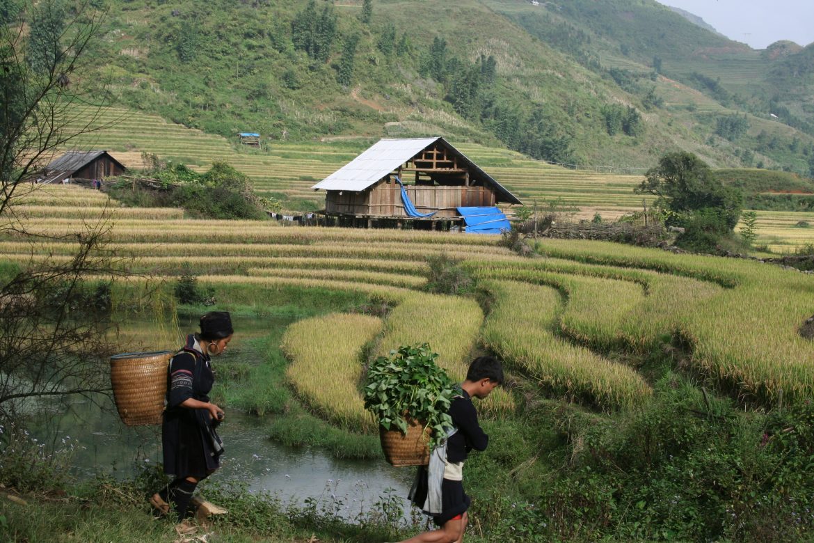 Trekking Sapa – Top 6 trekking routes for all skill levels