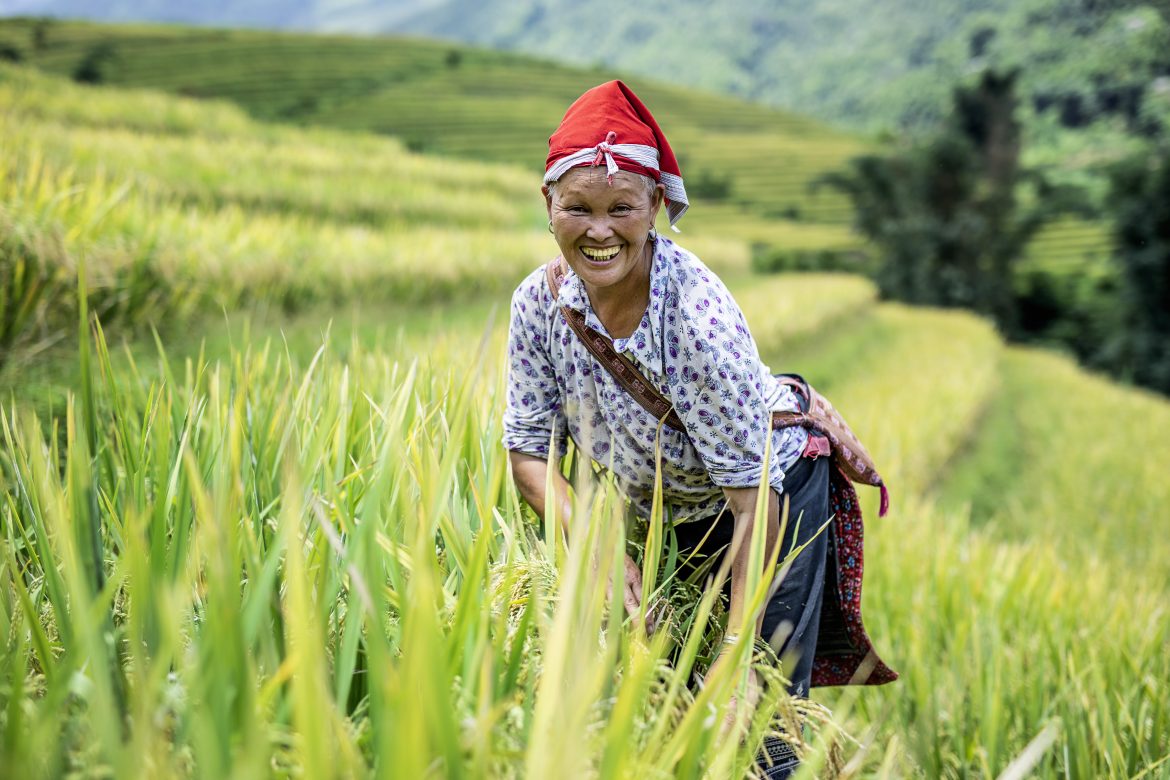 Vietnam Travel Guide for First-Time Visitors