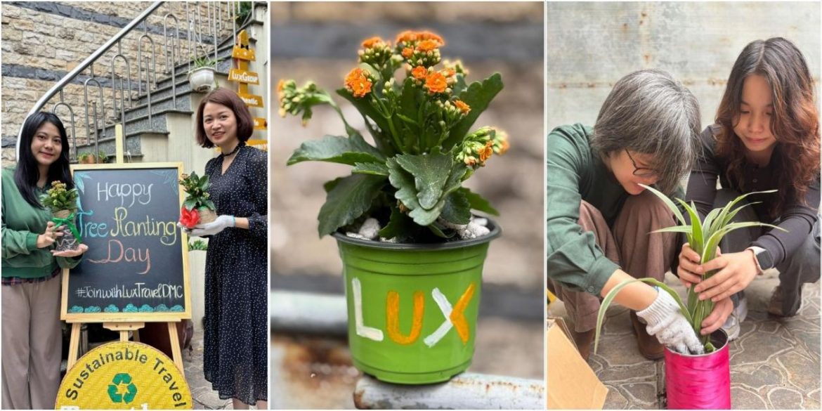 Lux Travel DMC celebrates 20th anniversary with recycling and tree-planting event