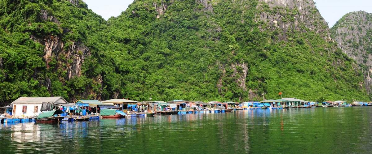 Cua Van Floating Village: Embrace Vibrant Floating Lifestyle